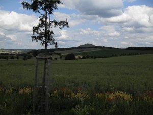 Rhoen-Radmarathon Nichtraucher 605